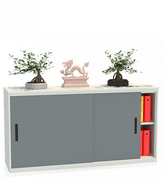 Шкаф-купе архивный ALS-8818